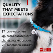 Blue Rolled Leather Dog Collar – 13–16 in Neck