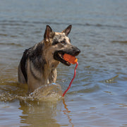 KONG Aqua Floating Retriever with Rope Dog Toy Orange Medium