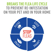 Adams Plus Flea & Tick Spray 32oz