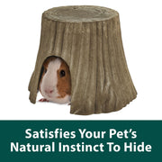 Kaytee Natural Tree Trunk Hideout Multi-Color 1ea/Large