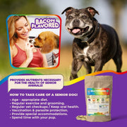 Prenatal Multivitamin for Dogs & Cats – Folic Acid & Minerals
