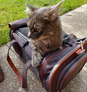 Mr. Peanut's Gold Series V2.0 Pet Carrier