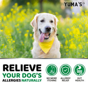 Dog Allergy Relief Chews 170 Count Itchy Skin Relief