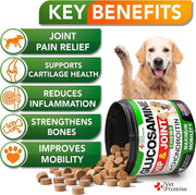 Glucosamine Hip & Joint Chews for Dogs – 240 Count, 2-Pack