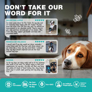 No Poo Chews for Dogs  Coprophagia Deterrent  Dog Probiotics for Digestive Health with Enzymes  Canine Stool Eating Deterrent  Digestive, Dental, Gut & Immune Health Treats  No Poop Eating