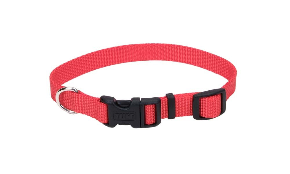 Coastal Adjustable Nylon Dog Collar with Plastic Buckle Red 5/8X14in