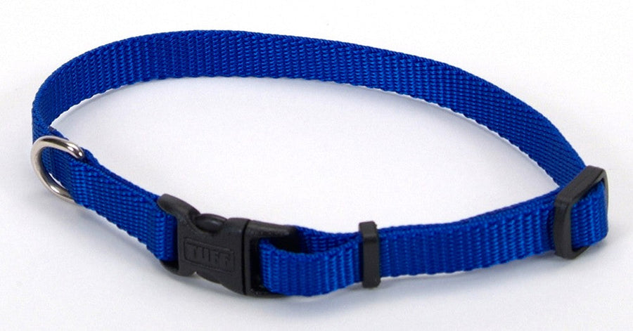 Coastal Adjustable Nylon Dog Collar with Plastic Buckle Blue 3/8X8-12in