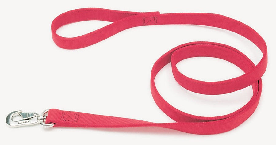 Coastal Double-Ply Nylon Dog Leash Red 1X6 ft