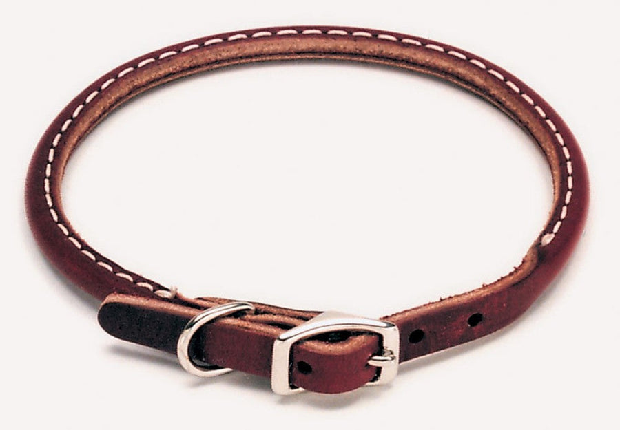 Coastal Circle T Latigo Leather Round Dog Collar 3/8X14in