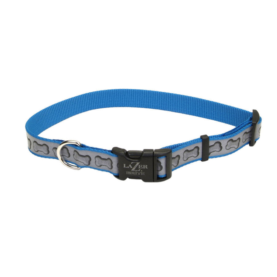 Coastal Lazer Brite Reflective Adjustable Dog Collar Turquoise Paws 1X18-26in