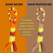 Interactive Tug & Treat-Dispenser Toy for Dogs – Orange