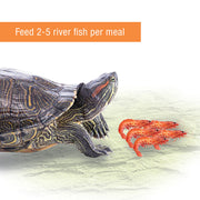 Zilla Reptile Munchies River Shrimp Food 2oz
