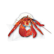 Zilla Cricket Water Pillow 6pk