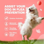 Chewia Flea & Tick Soft Chews for Dogs – 180 Count