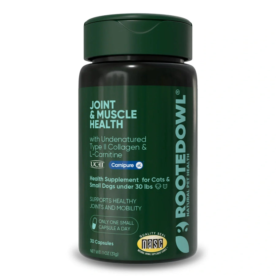 Rooted Owl Joint & Muscle Health for Cats & Small Dogs - Pristine Pet Supply