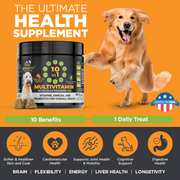 Googipet 10-in-1 Multivitamin Chews for Dogs – Peanut Butter & Pumpkin, 90 Count