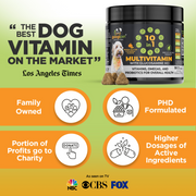 Googipet 10-in-1 Multivitamin Chews for Dogs – Peanut Butter & Pumpkin, 90 Count