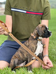 Euro-Dog Celtic Sport Leather Dog Leash