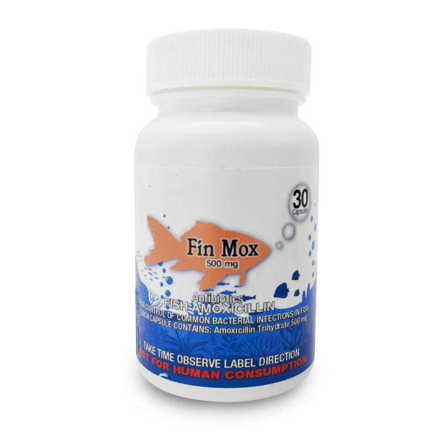 Fish Mox 500mg capsules – 30 count aquarium fish care product photo
