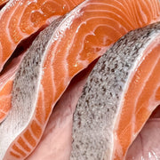 Salmon Says! — Superfood Pet Treats - Pristine Pet Supply