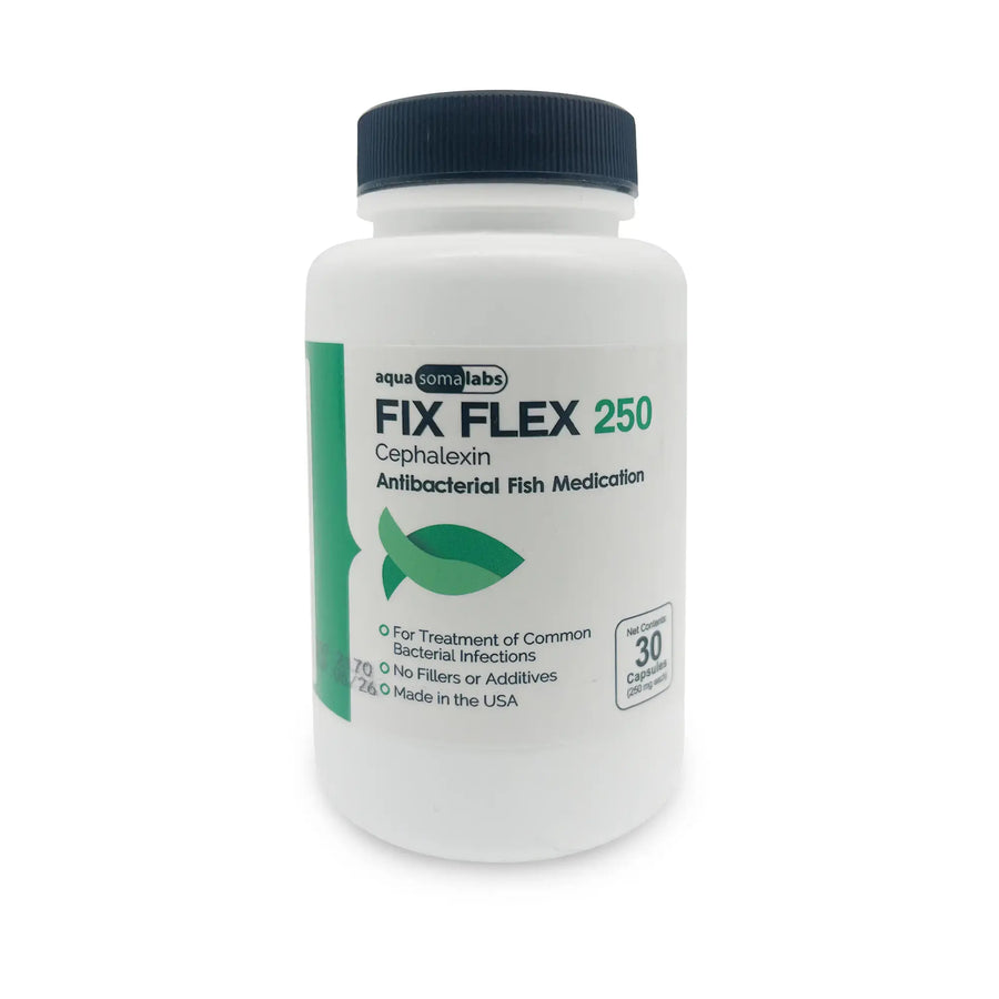 Fish Ceph 250mg capsules – 30 count aquarium fish care product photo