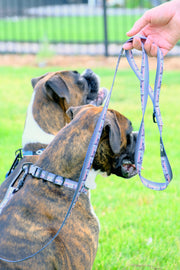 Euro-Dog Outdoor Style Nylon Step-In Dog Harness