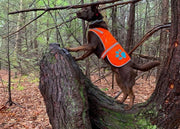 SafetyPUP XD Hi-Visibility Reflective Dog Vest – Orange, Medium