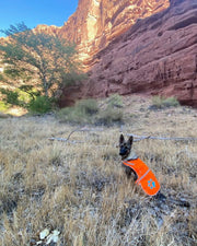 SafetyPUP XD Hi-Visibility Reflective Dog Vest – Orange, Large