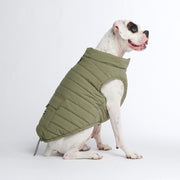 Spark Paws WarmShield Water-Resistant Dog Jacket – Olive