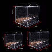 Acrylic bird feeder