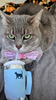 PUPROAR Kitty Cup Plush Catnip & Crinkle Cat Toy – 2 Colors