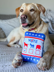PUPROAR Pawsidential Ballot Funny Political Squeaky Dog Toy with Crinkle