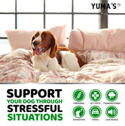 Yuma's Hemp Calming Soft Chews for Dogs – 170 Count, Beef Flavor