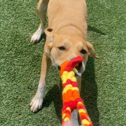 Interactive Tug & Treat-Dispenser Toy for Dogs – Orange