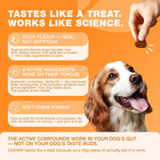 Dog Allergy Relief Chews  Itch Relief for Dogs  180 Allergy Chews for Itching Skin with Probiotics, Colostrum, Salmon Oil  Allergy, Skin and Coat, Immune, Digestion Support Supplement  Hot Spots