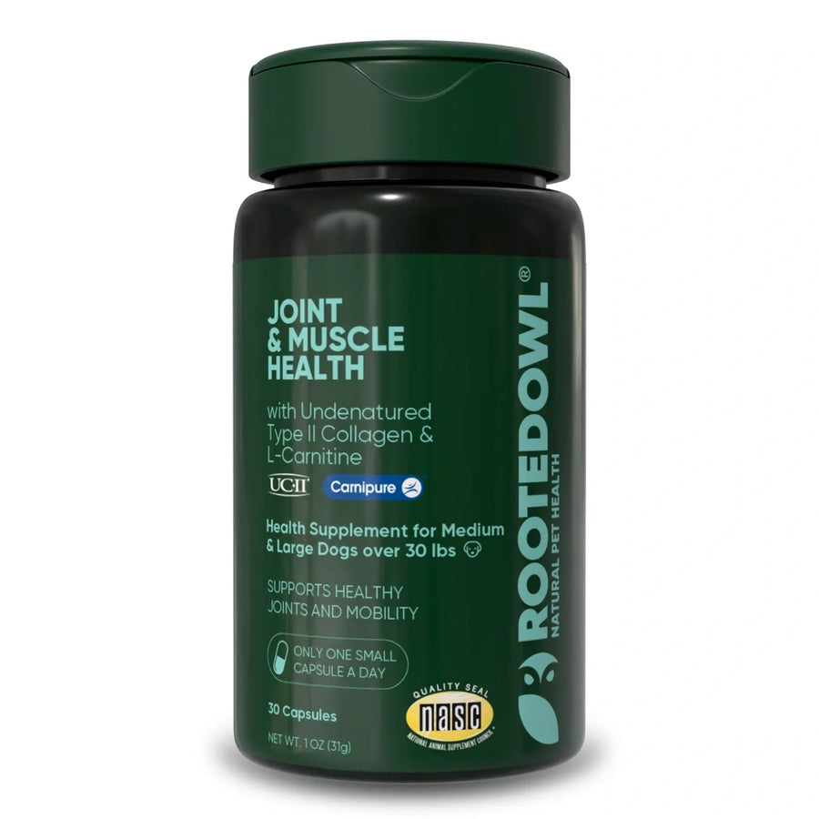Rooted Owl Joint & Muscle Health for Medium & Large Dogs - Pristine Pet Supply