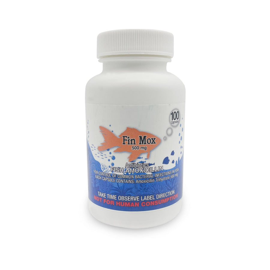 Fish Mox 500mg capsules – 100 count aquarium fish care product photo