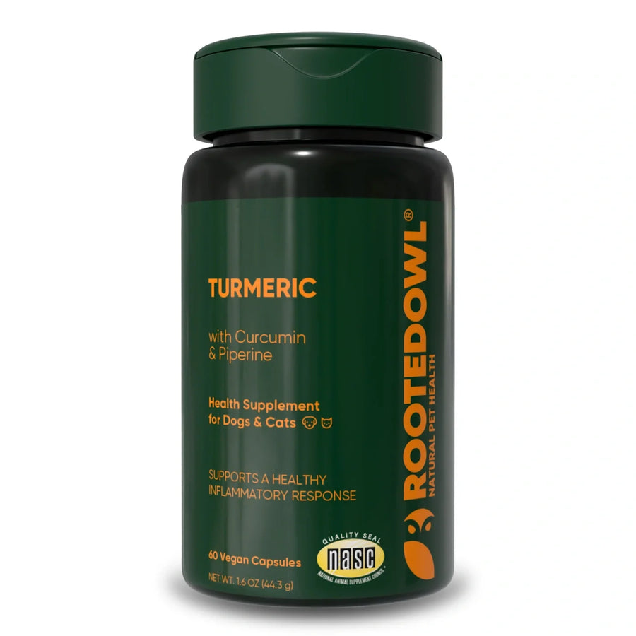 Turmeric - Pristine Pet Supply