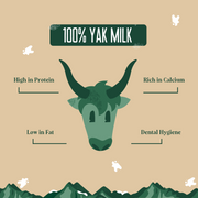 Yak9 Chews 100% Yak Milk Chews for Dogs
