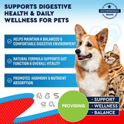 Intestinal Cleanse Drops for Dogs & Cats 60 ml 2-Pack Wormwood & Black Walnut