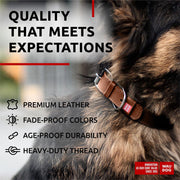 Brown Leather Dog Collar – 12–15 in Neck