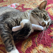 Smokey's Stash Catnip Pre-Rolled Toy – Hand-Rolled Organic Catnip Toy for Cats
