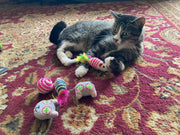 Smokey's Stash Catnip Toy Set – Catnip Toys, Sisal Mice & Sisal Ball for Cats