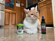 Smokey's Stash Organic Catnip Combo Pack – Catnip Spray & Premium Catnip Set