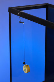 The Pleco Feeder® – Stainless Steel Vegetable Feeding Clip for Plecos & Aquarium Fish