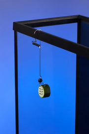The Pleco Feeder® – Stainless Steel Vegetable Feeding Clip for Plecos & Aquarium Fish
