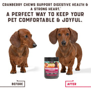 Cranberry Chews for Dogs 180 Count Urinary Tract Support