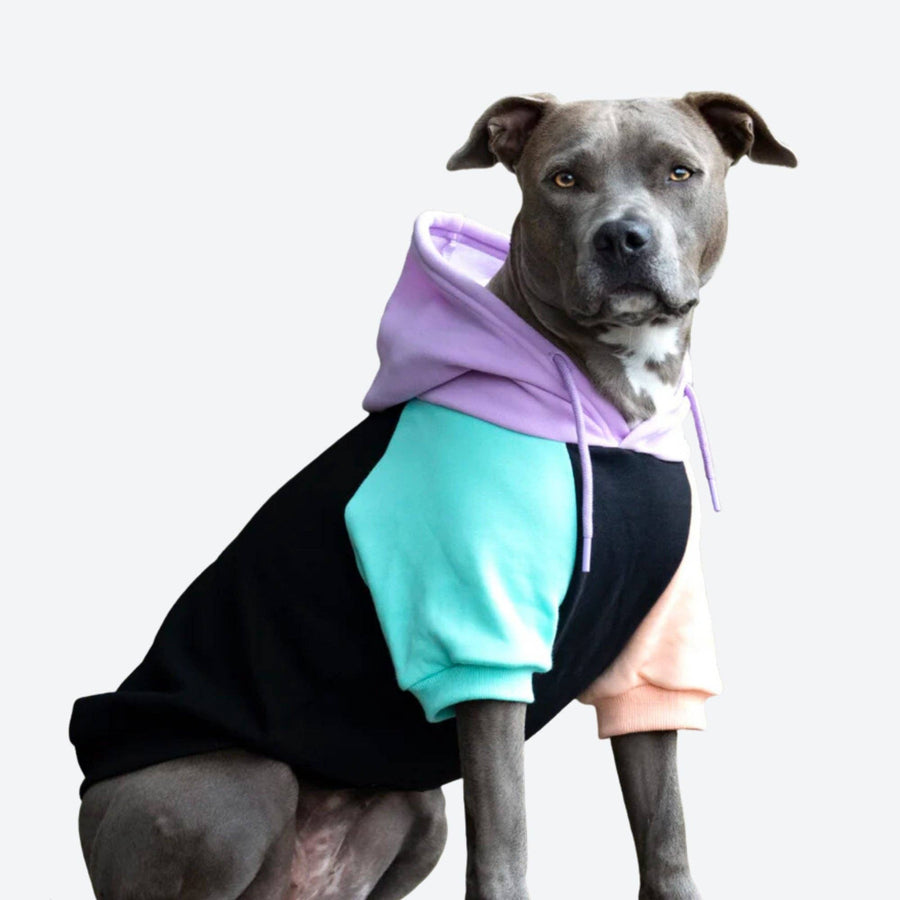 Spark Paws Cyber Punk Dog Hoodie