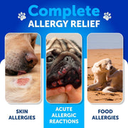Artullano Dog Probiotic Soft Chews for Everyday Digestive Support