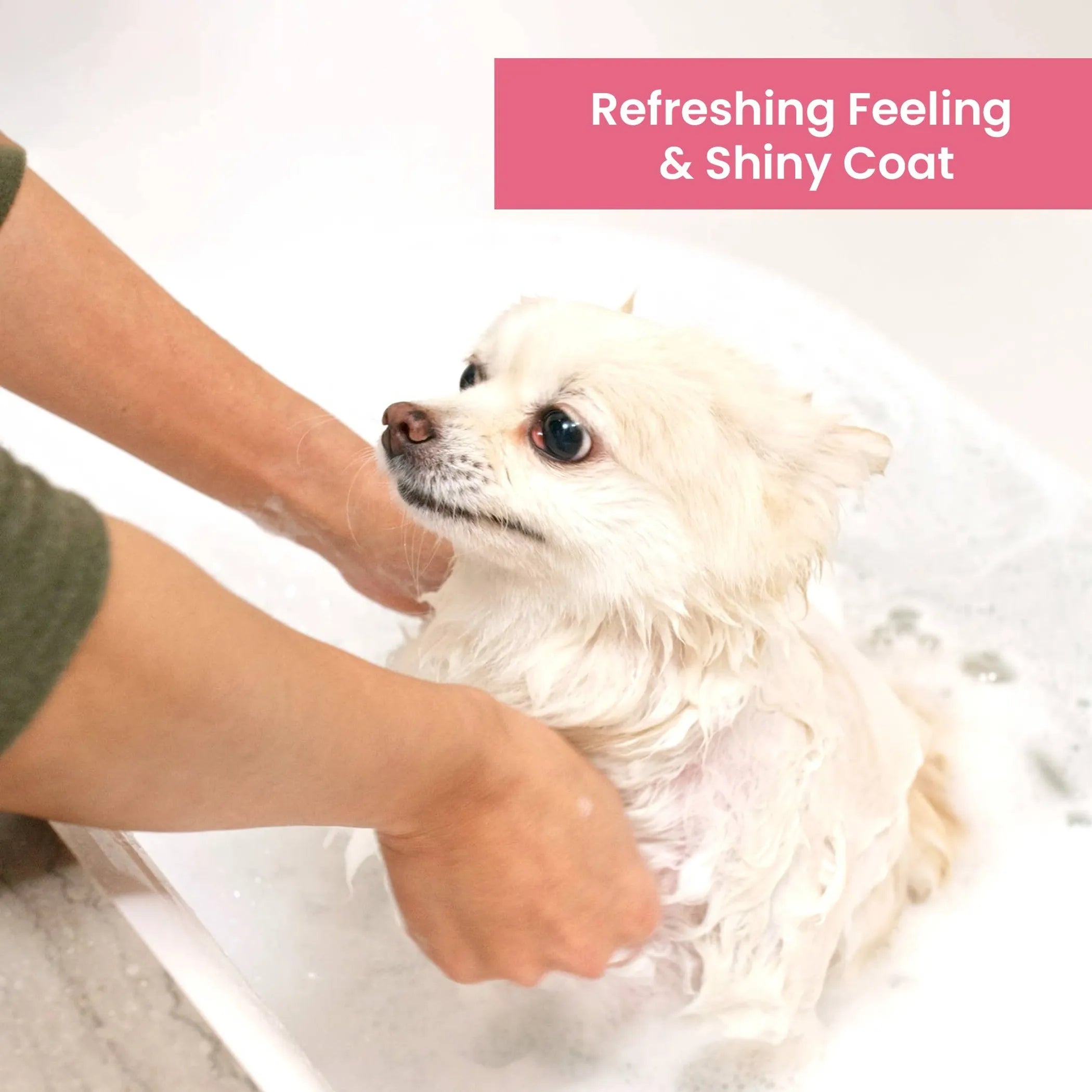 Aroma Paws Pomegranate Cucumber Dog Shampoo & Conditioner – 1 Gallon